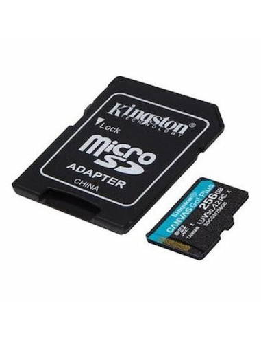 Micro SD Kingston SDCG3 256 GB